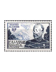 Algérie, n° 306 charnière, Timbres colonies francaises