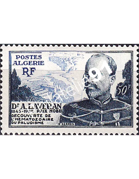Algérie, n° 306 charnière, Timbres colonies francaises