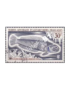 TAAF, n° 38 oblitéré, Collection Timbres Dom-Tom