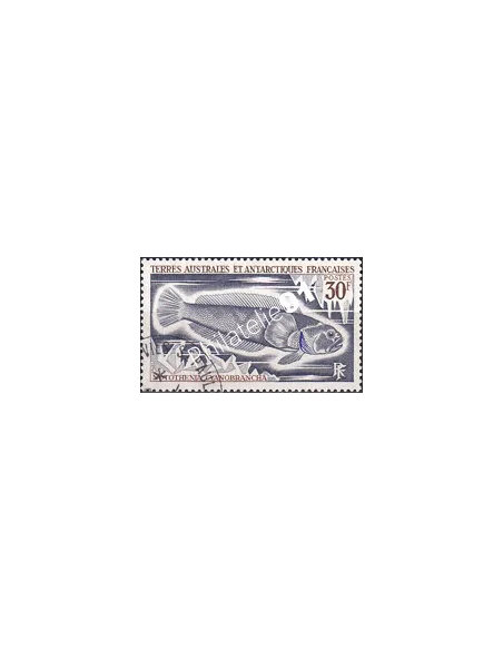 TAAF, n° 38 oblitéré, Collection Timbres Dom-Tom