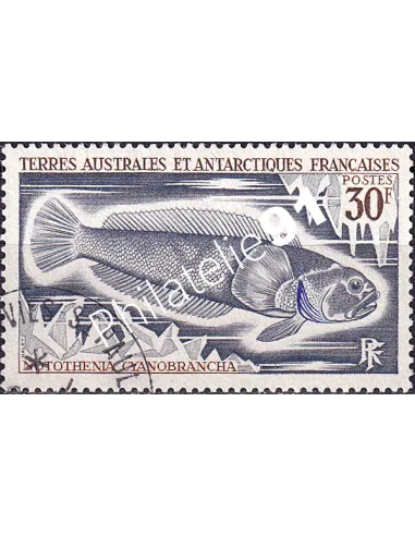 TAAF, n° 38 oblitéré, Collection Timbres Dom-Tom