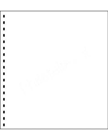 LINDNER - Feuillet de protection pour feuilles neutres ou OMNIA - 800