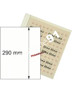 LINDNER - Feuilles neutres LINDNER-T - 1 poche pour Blocs - petits et grands, Feuillets, Notices 1er jour, Petits blocs