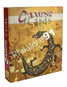 idée cadeau - Album Game cards SAFE - matériel toutes collections