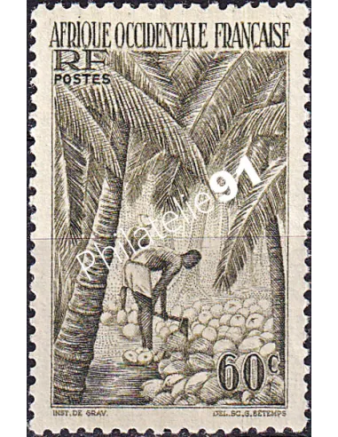 A.O.F. n° 43 neuf, collection timbres colonies françaises