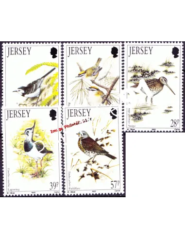 Timbres de JERSEY n° 557 à 561 - Faune. Les oiseaux de l'hiver