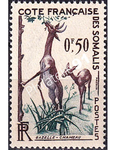 COTE DES SOMALIS, n° 289 charnière, timbre colonies françaises