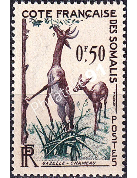 COTE DES SOMALIS, n° 289 charnière, timbre colonies françaises