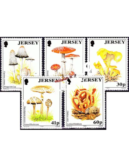 JERSEY - n°  633 à 637 - Champignons de Jersey