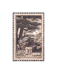 MAROC, n° 169 neuf, collection timbres colonies françaises