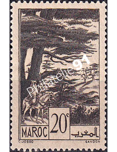 MAROC, n° 169 charnière, collection timbres colonies françaises