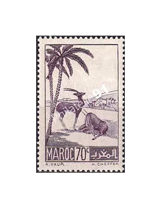 MAROC, n° 177 charnière, collection timbres colonies françaises