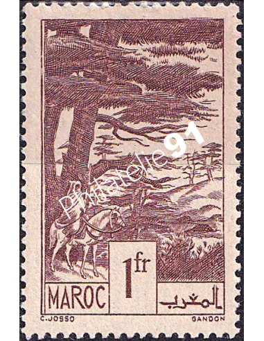 MAROC, n° 182 neuf, collection timbres colonies françaises