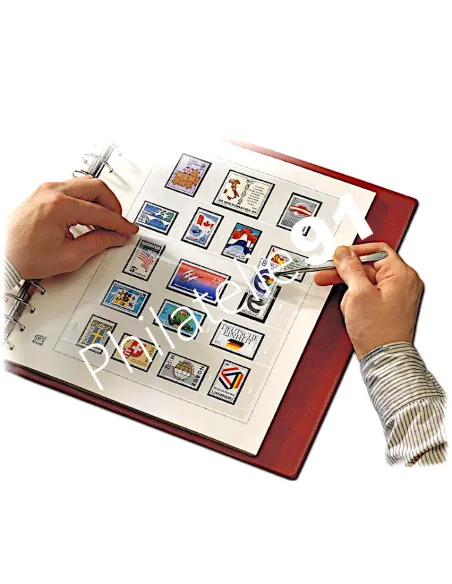 SAFE-dual TAAF 2024, feuilles préimprimées SAFE 2024