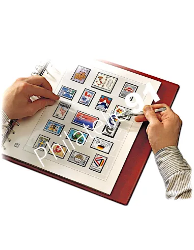 SAFE-dual MONACO 2024, feuilles préimprimées SAFE 2024