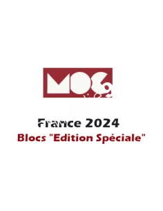 Jeu MOC france 2024 pour blocs édition spéciale, jeux 2024