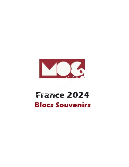 Jeu MOC france 2024 pour blocs SOUVENIRS, jeux 2024