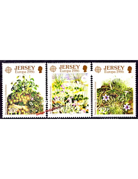JERSEY - n°   372 à 374 - EUROPA - 1986 - Fleurs