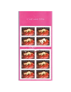 Carnet de timbres de France  3804 -ADH. BC n° 54) Timbres de naissance