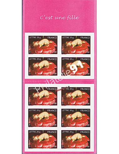 Carnet de timbres de France  3804 -ADH. BC n° 54) Timbres de naissance