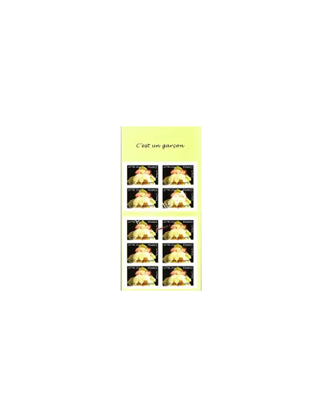 carnet de France n° 3805 - (ADH. BC 55) Timbres de naissance