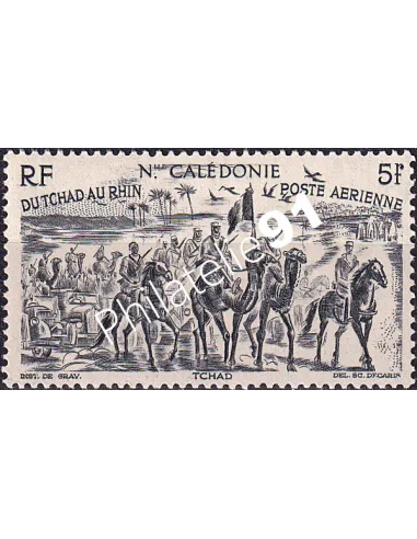 NOUVELLE CALEDONIE, PA n° 55 neuf, collection timbres colonies