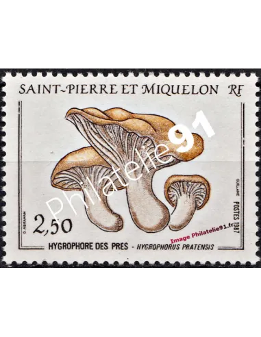 Timbre de ST PIERRE ET MIQUELON n° 475 - CHAMPIGNON