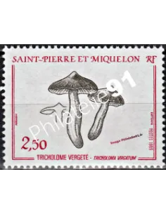 timbre de ST PIERRE ET MIQUELON n°497, champignon, Timbres des Dom-Tom