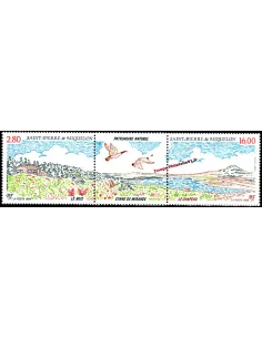 Timbres de Saint PIERRE ET MIQUELON n° 604 A, collection Dom-Tom