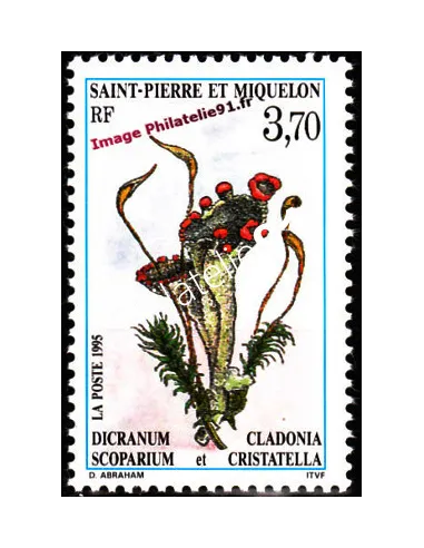 Timbre de Saint Pierre et Miquelon n° 611, Fleur, collection Dom-Tom