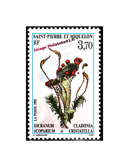 Timbre de Saint Pierre et Miquelon n° 611, Fleur, collection Dom-Tom