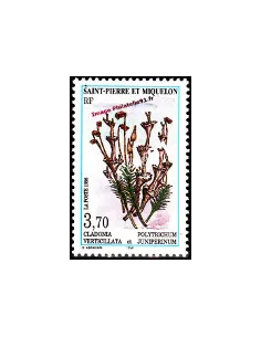 Timbre de Saint Pierre et Miquelon n° 626, flore, timbres Dom-Tom