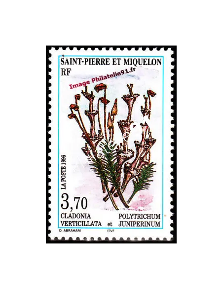 Timbre de Saint Pierre et Miquelon n° 626, flore, timbres Dom-Tom
