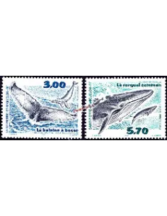Timbres de St Pierre et Miquelon n° 707-708, Cétacés, timbres Dom-Tom