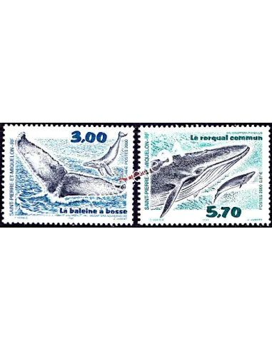 Timbres de St Pierre et Miquelon n° 707-708, Cétacés, timbres Dom-Tom