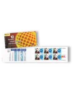 Islande, Carnet n° 798, Europa 1996, collection timbres Europa