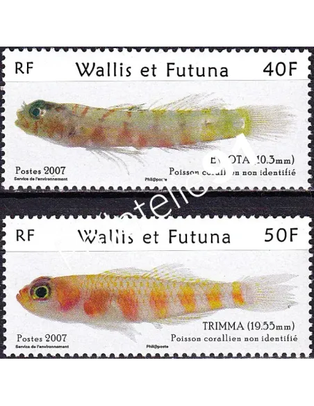 Wallis et Futuna, n° 677 à 678 neufs, timbres Dom-Tom