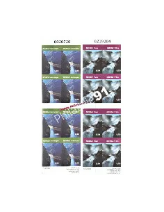 2 Carnets de Timbres de Norvège n° 1474 et 1475 - Thème : TOURISME