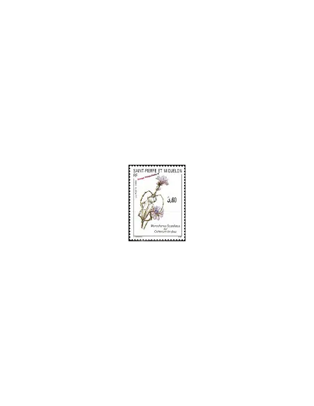 Timbre de Saint Pierre et Miquelon n° 575, insecte, collection Dom-Tom