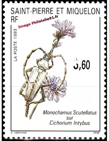 Timbre de Saint Pierre et Miquelon n° 575, insecte, collection Dom-Tom