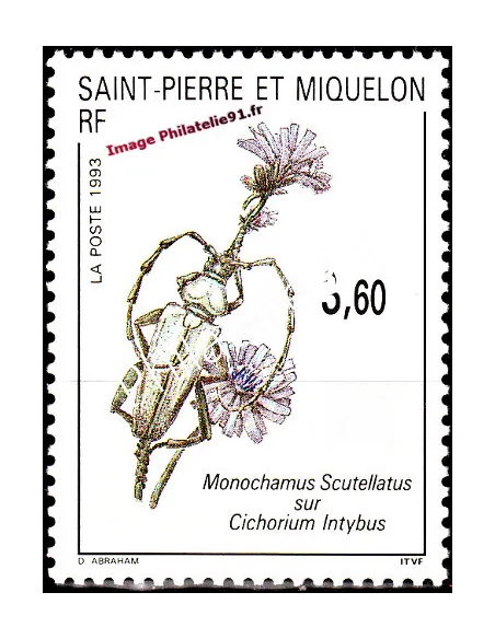 Timbre de Saint Pierre et Miquelon n° 575, insecte, collection Dom-Tom