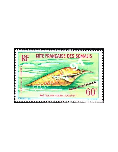 cote des somalis PA n°31, coquillage, timbres des colonies