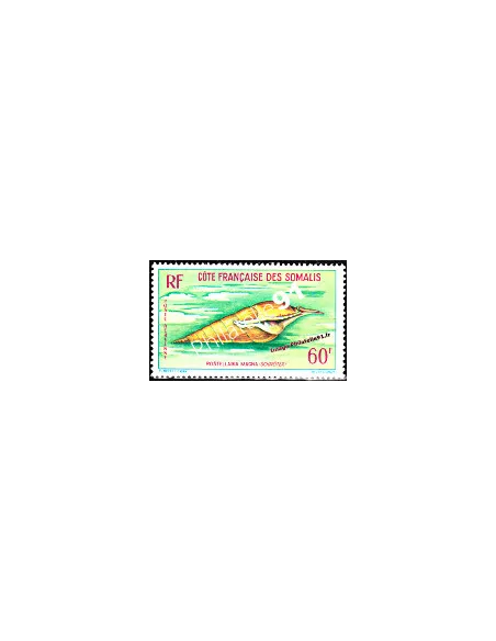 cote des somalis PA n°31, coquillage, timbres des colonies