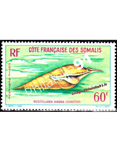 cote des somalis PA n°31, coquillage, timbres des colonies