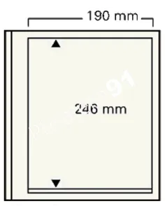 Feuilles "Spécial-dual" SAFE - 1 poche - Réf. 620