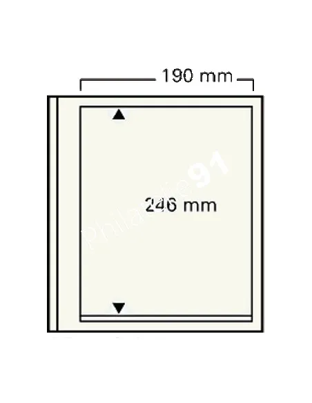 Feuilles "Spécial-dual" SAFE - 1 poche - Réf. 620