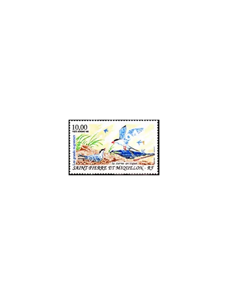 timbre de ST PIERRE ET MIQUELON PA n° 74, Oiseau, collection Dom-Tom