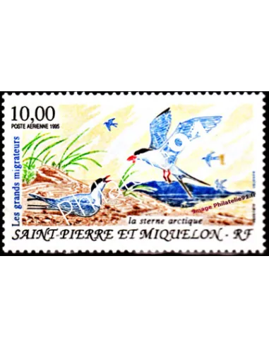 timbre de ST PIERRE ET MIQUELON PA n° 74, Oiseau, collection Dom-Tom