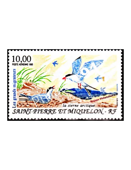 timbre de ST PIERRE ET MIQUELON PA n° 74, Oiseau, collection Dom-Tom