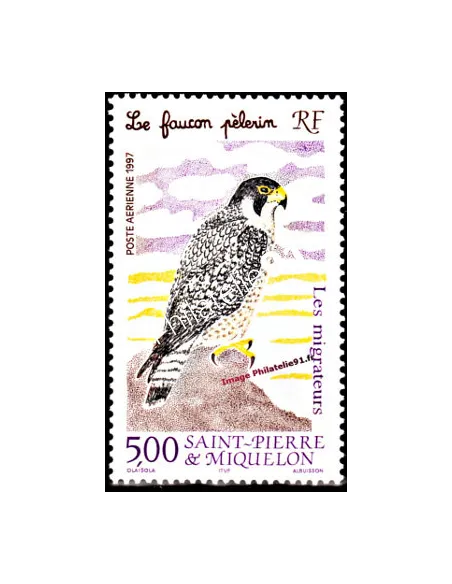 timbre de ST PIERRE ET MIQUELON PA n° 76, rapace, collection Dom-Tom